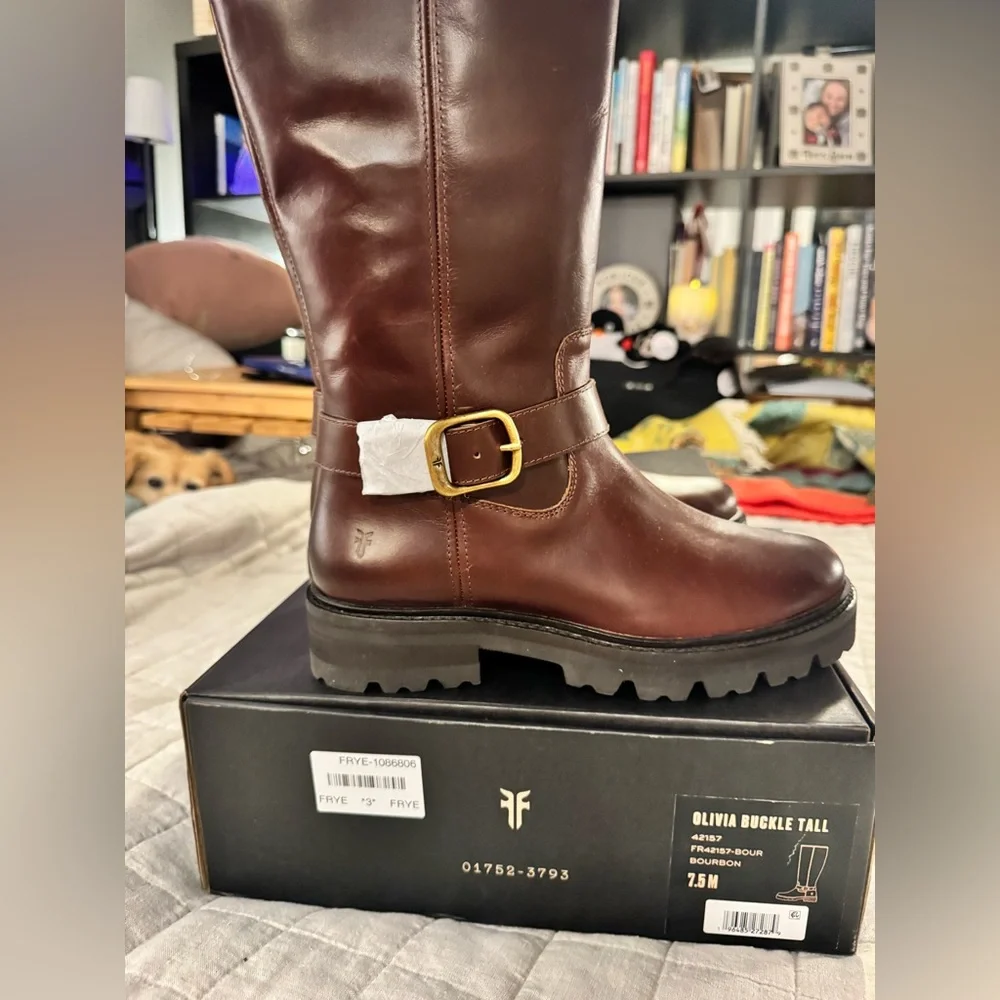 NWT in Box Frye Olivia Buckle Tall Boots - Bourbon (Deep Burgundy Brown)